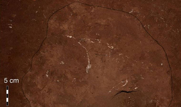 Dikkat çeken keşif, en eski insan mezarı bulundu