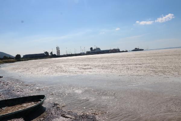 Yalova'da deniz yeniden müsilajla kaplandı