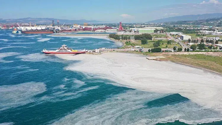 Yalova'da deniz yeniden müsilajla kaplandı