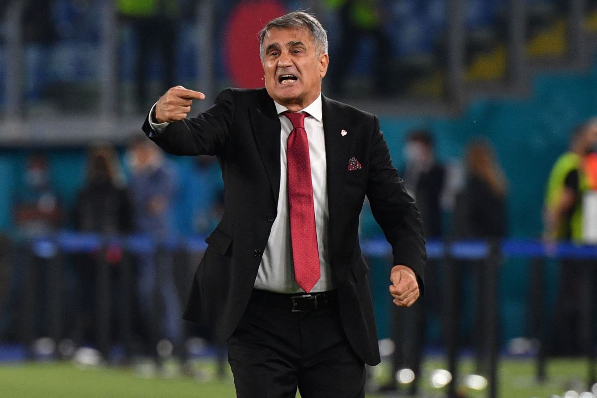 Şenol Güneş: 