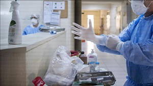 Bu işleri yapan paraya para demiyor! Business Insider açıkladı