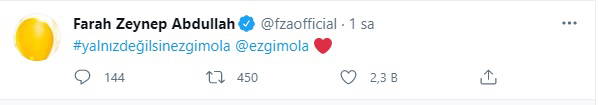 Ezgi Mola'ya destek yağdı: