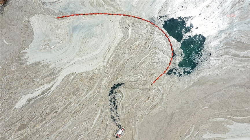 'Müsilajı ekonomik değer haline getirecek çözüm ürettik'