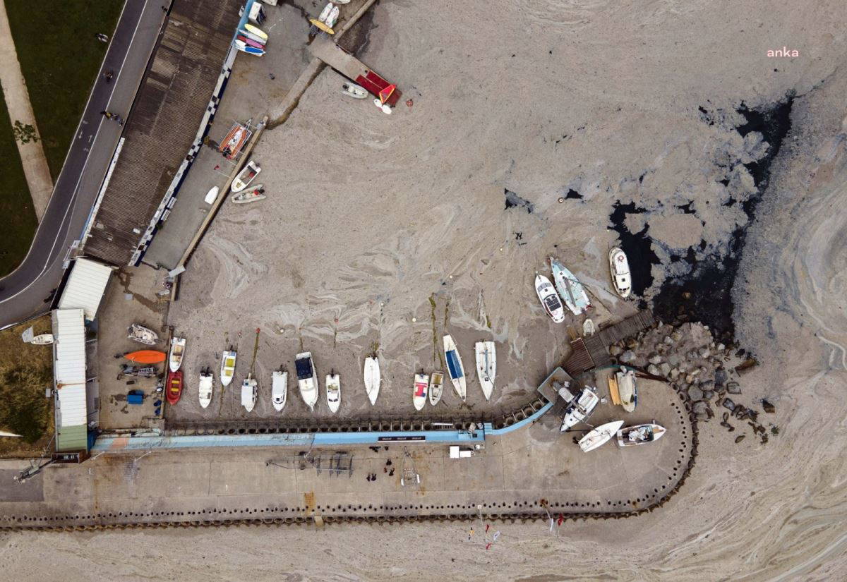 'Müsilajı ekonomik değer haline getirecek çözüm ürettik'