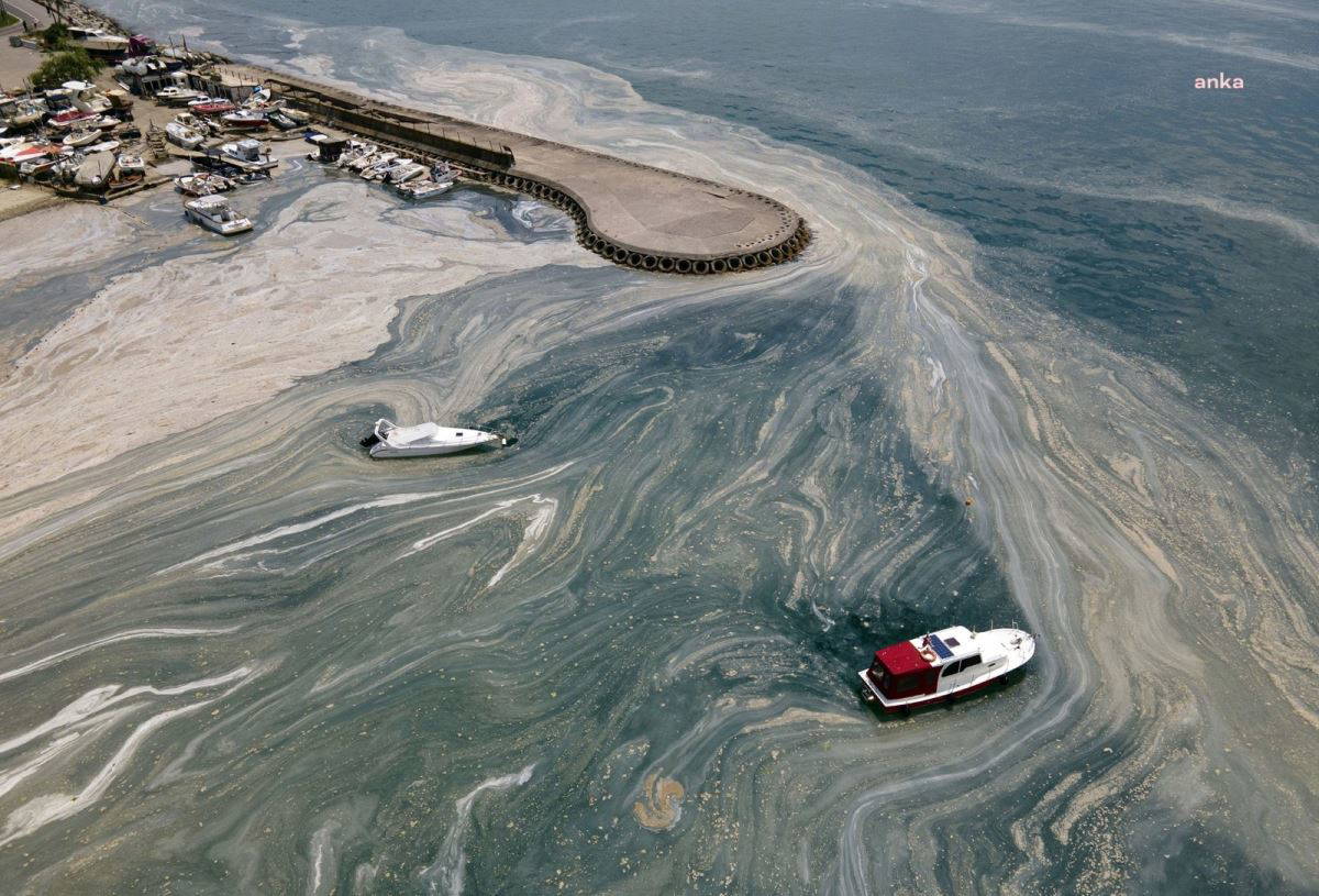 'Müsilajı ekonomik değer haline getirecek çözüm ürettik'