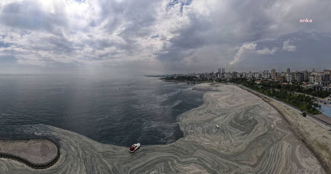 'Müsilajı ekonomik değer haline getirecek çözüm ürettik'
