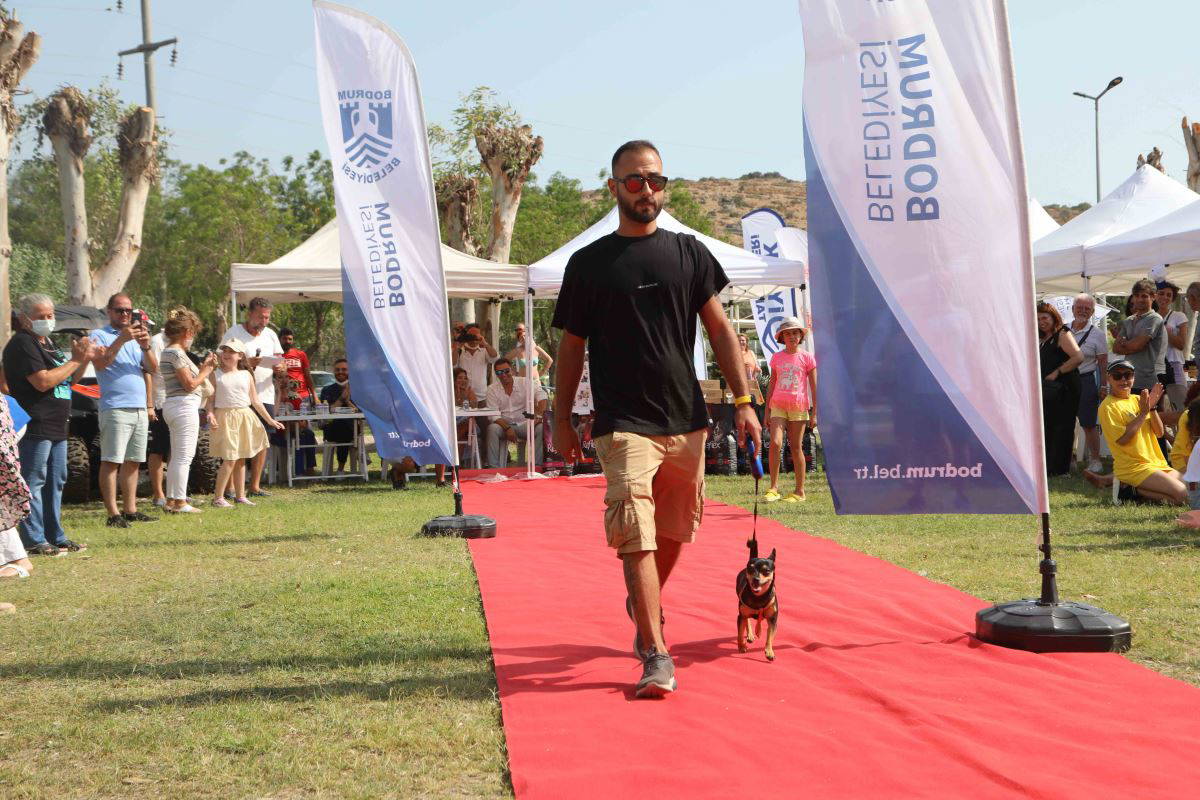 Bodrum Patifest: Can dostların yetenek yarışı