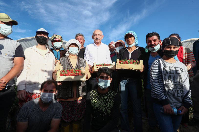 Kılıçdaroğlu, Aydın'da çiftçilerle çilek hasadı yaptı