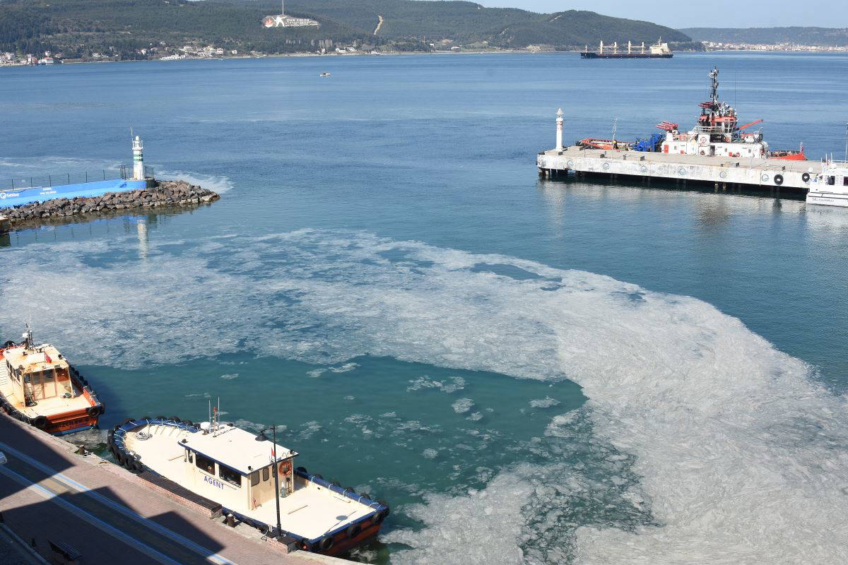 Prof. Dr. Ayaz'dan müsilaj uyarısı: Ege Denizi'ne doğru akıyor