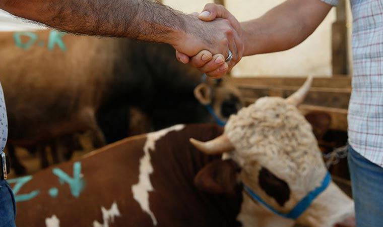 Ünlü isimlerden Kurban Bayramı paylaşımları