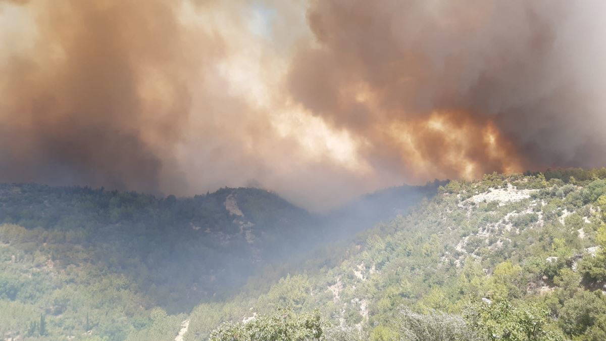 Son dakika... Manavgat'ta büyük yangın! Manavgat Belediye Başkanı'ndan acı sözler