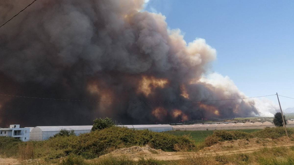 Son dakika... Manavgat'ta büyük yangın! Manavgat Belediye Başkanı'ndan acı sözler