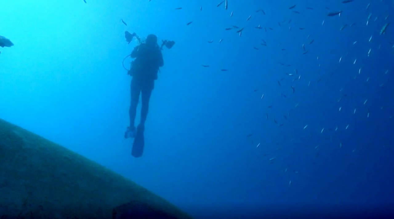 Kuşadası'nda uçak batığına yoğun ilgi