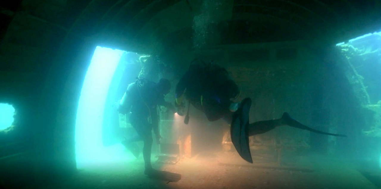 Kuşadası'nda uçak batığına yoğun ilgi