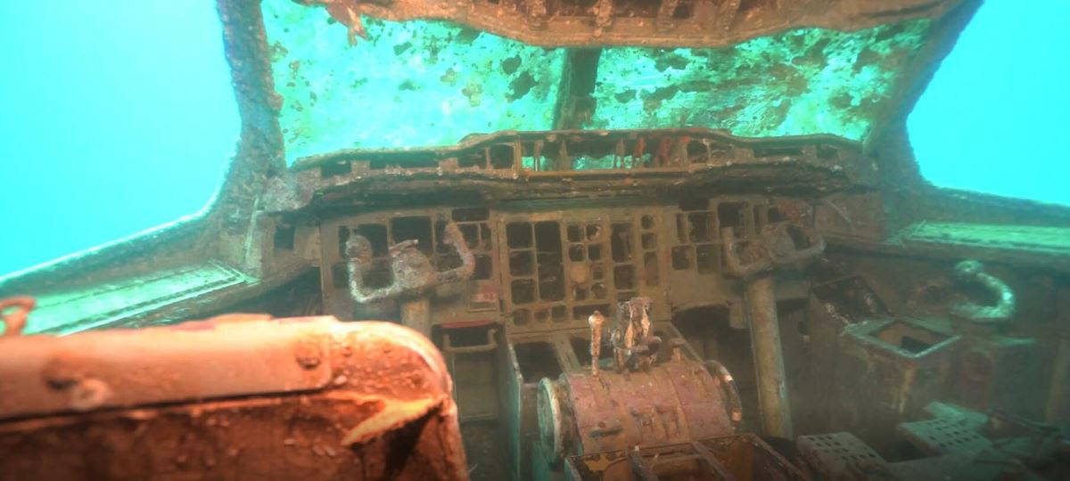 Kuşadası'nda uçak batığına yoğun ilgi