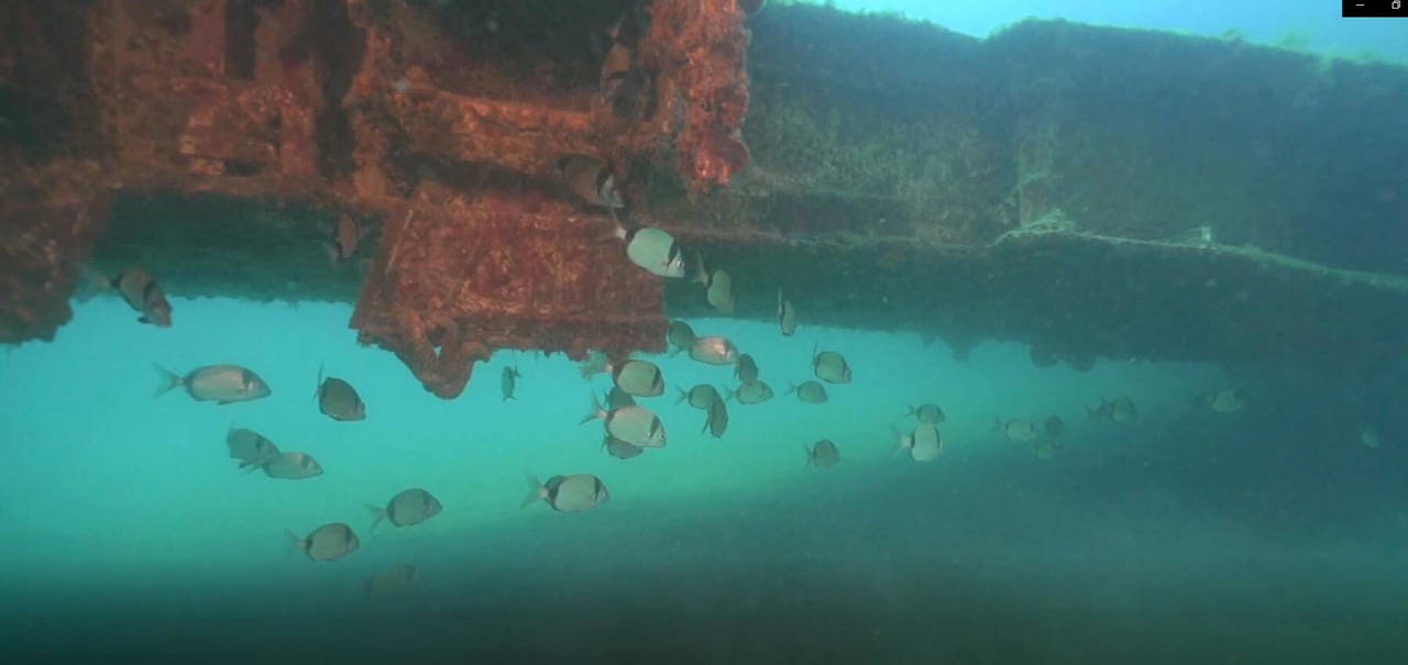 Kuşadası'nda uçak batığına yoğun ilgi