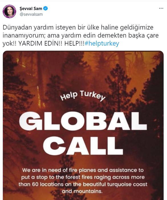 Sanatçılardan yardım çağrısı: #HelpTurkey
