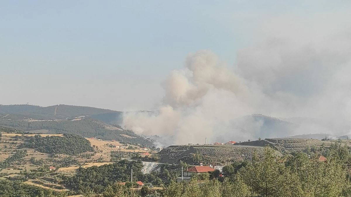 Aydın yanıyor! Yangın Muğla'ya sıçradı