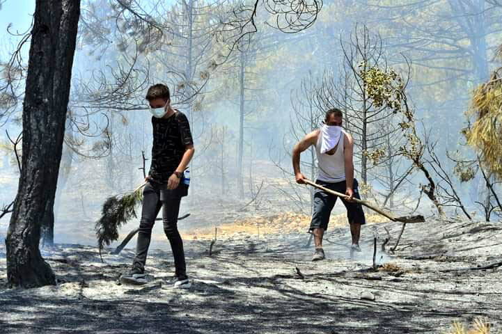 Uşak'ta 2 noktada orman yangını; 8 hektar alan yandı