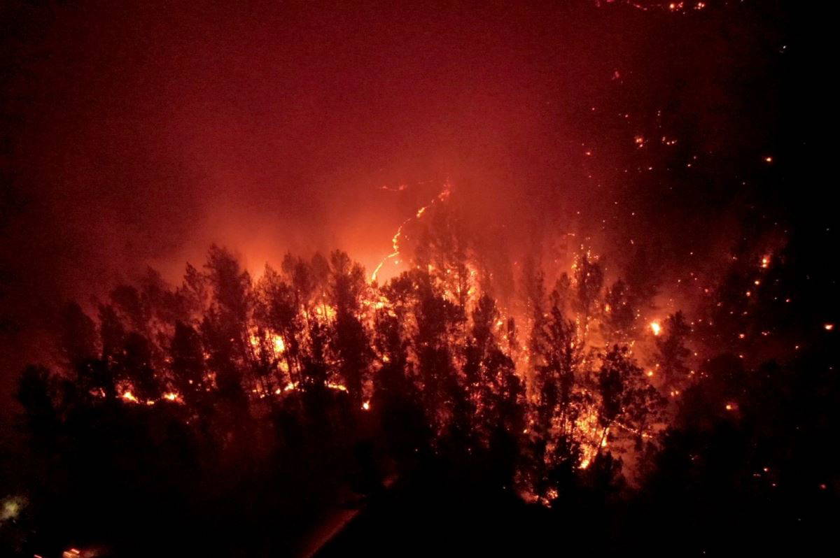 5 ilde 14 yangın devam ediyor! Orman yangınlarında son durum