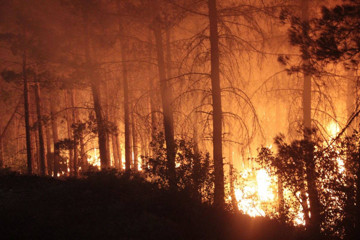5 ilde 14 yangın devam ediyor! Orman yangınlarında son durum
