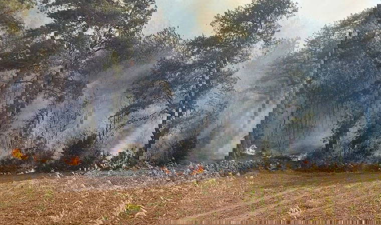 5 ilde 14 yangın devam ediyor! Orman yangınlarında son durum