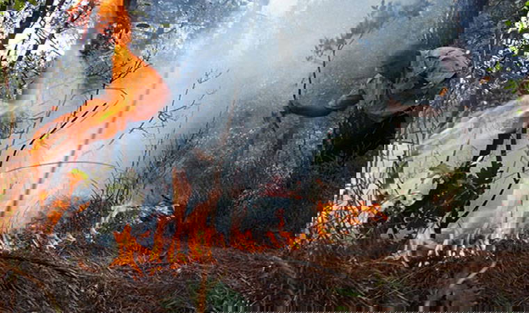 Yangınlarda son durum ne?