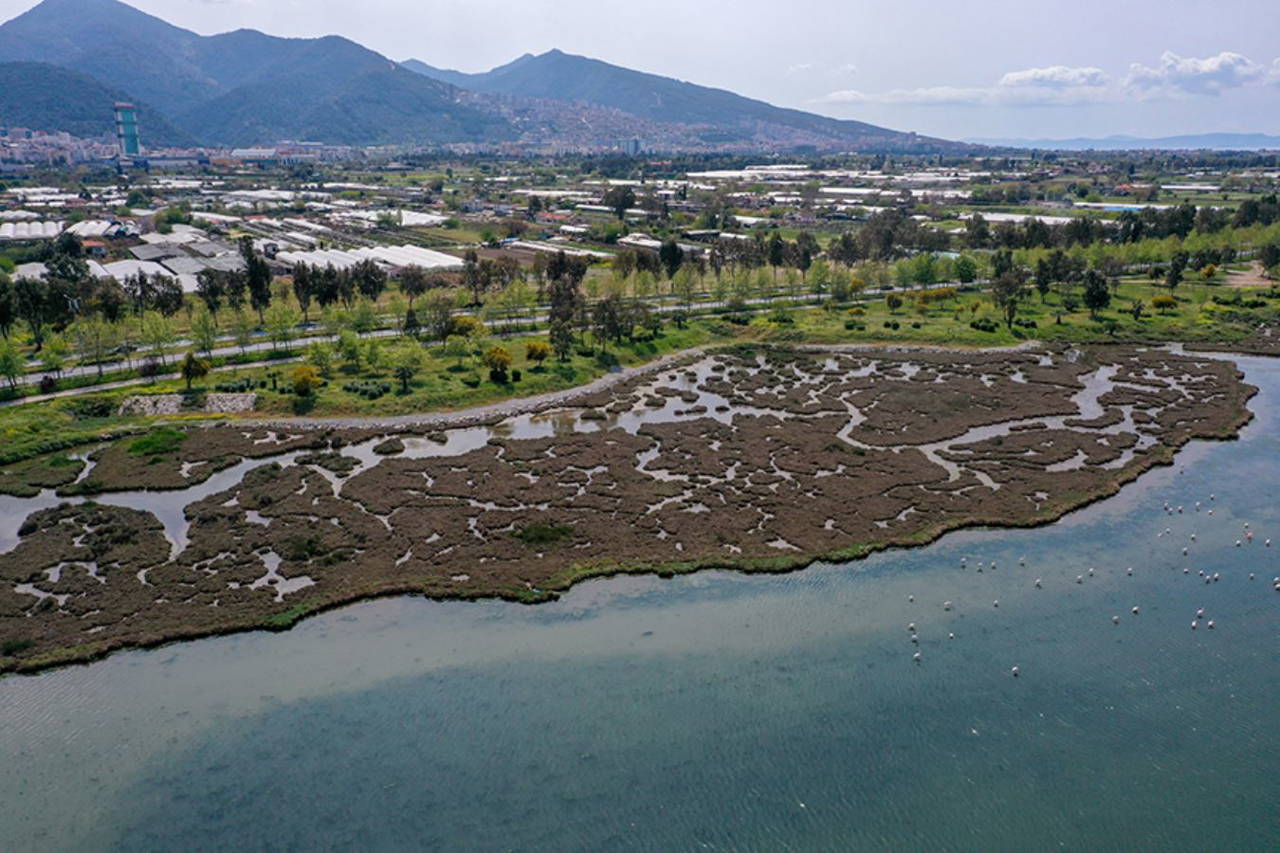 İzmir Kent Ormanı'nda ilkbahar güzelliği
