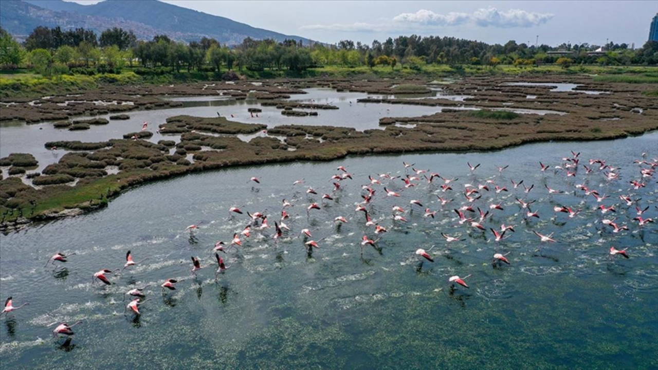 İzmir Kent Ormanı'nda ilkbahar güzelliği