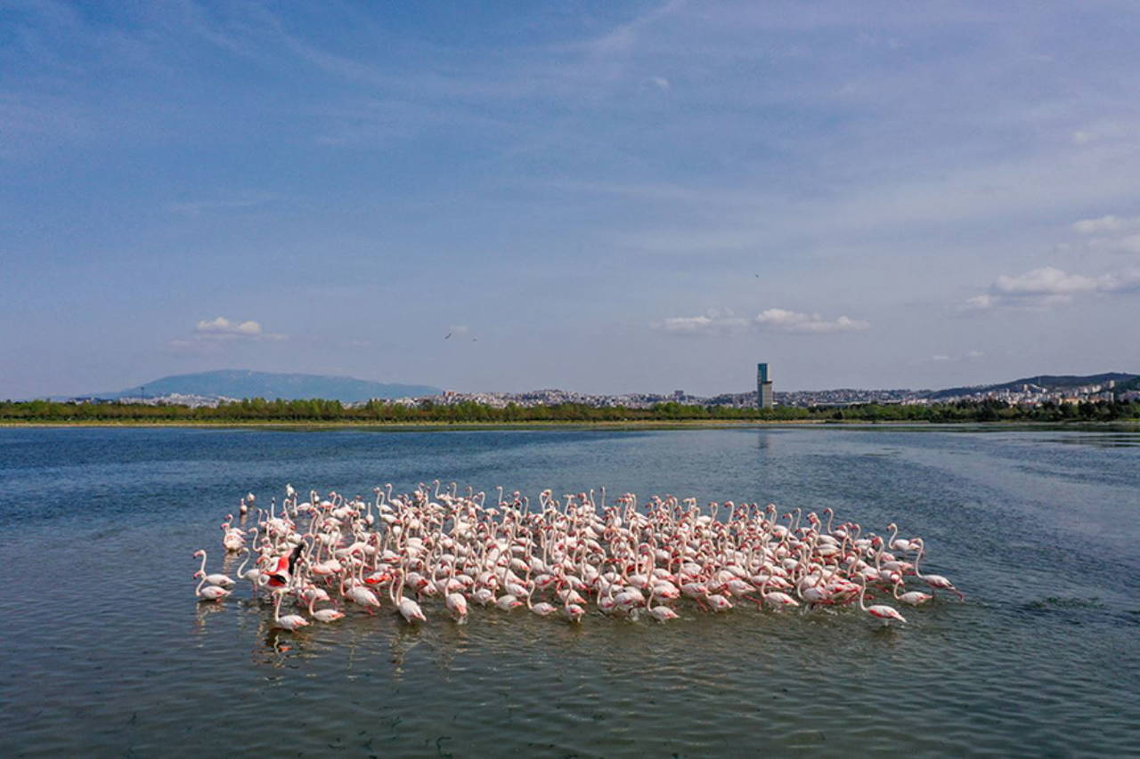İzmir Kent Ormanı'nda ilkbahar güzelliği