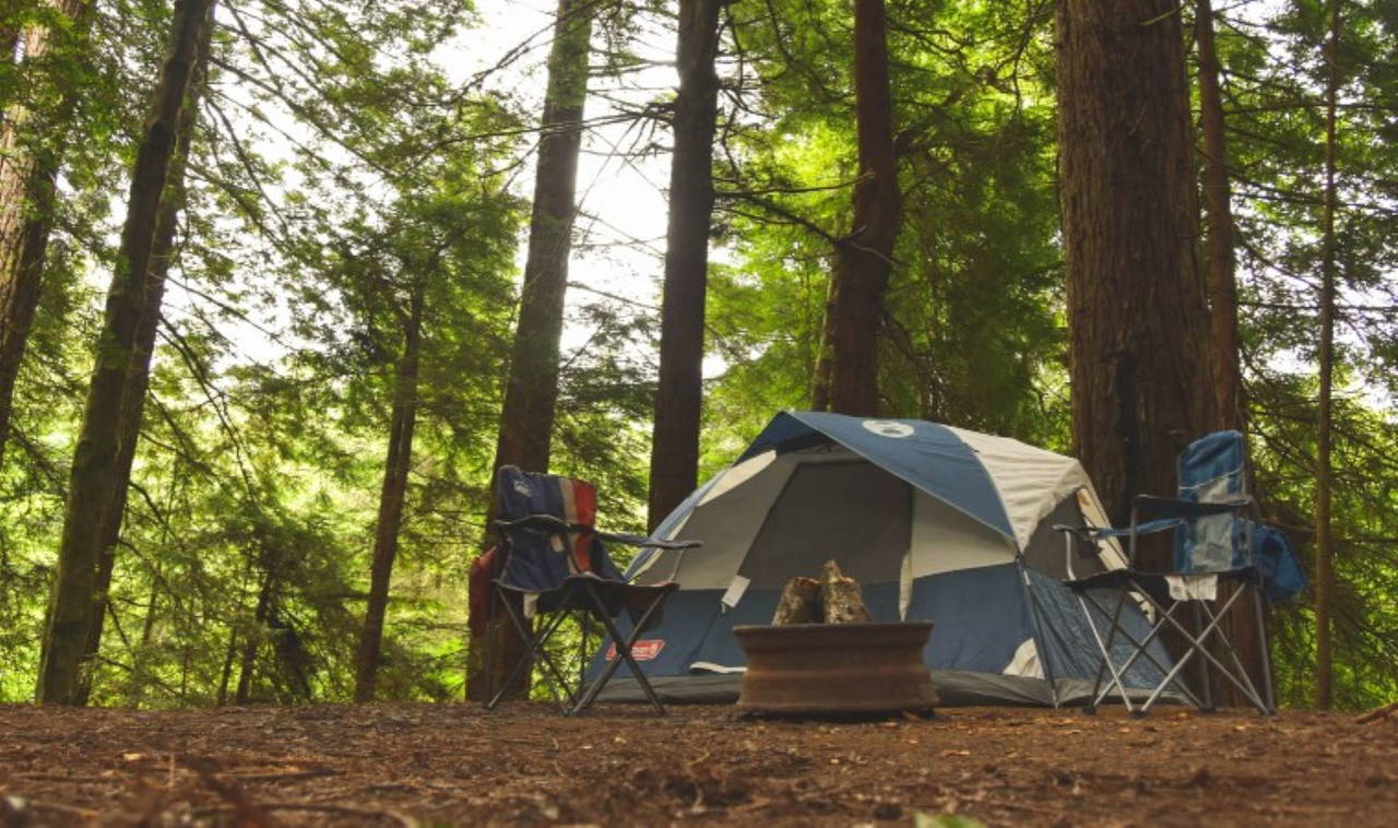 İstanbul'a yakın en güzel kamp alanları