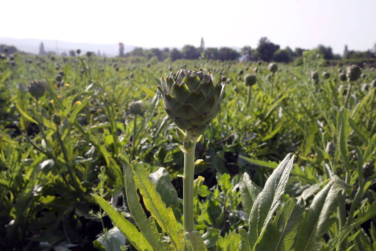 İzmir Dünya Turizm Kentleri Federasyonu’na kabul edildi