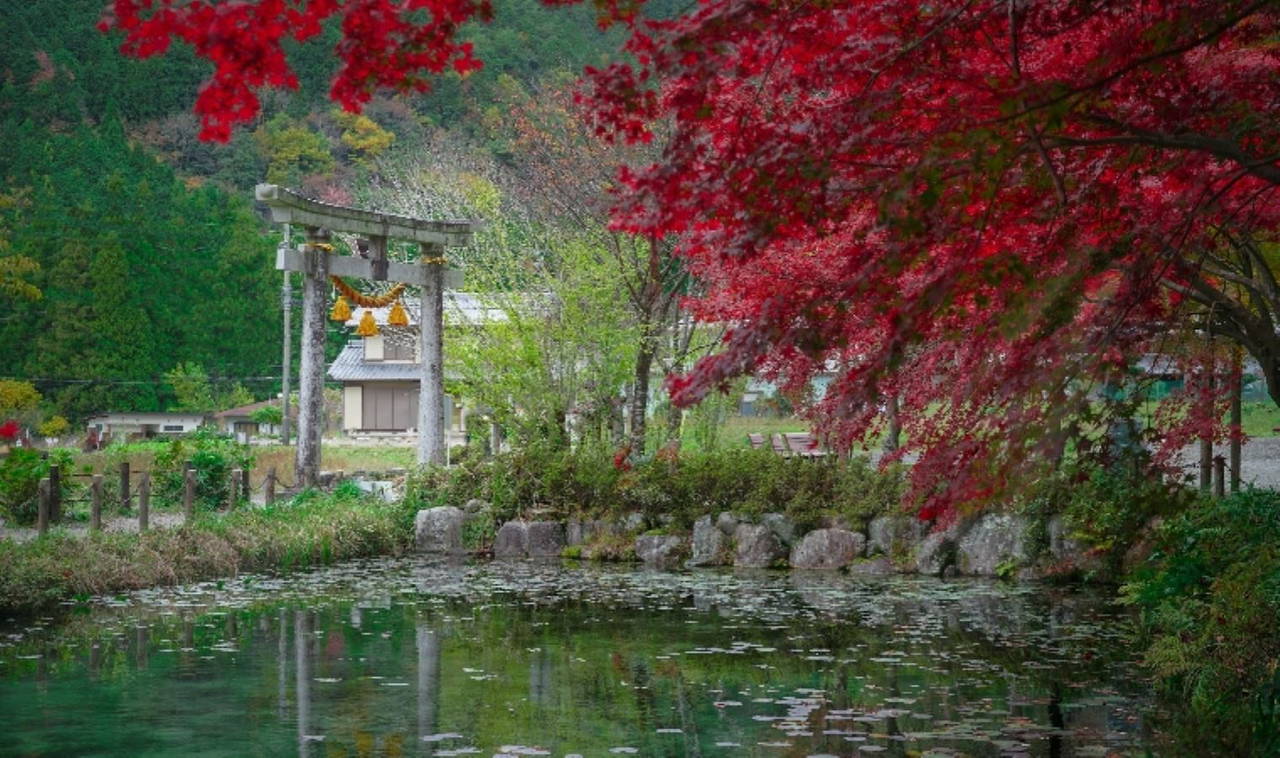 Kültür dağarcığınızı geliştirecek en güzel Japon atasözleri