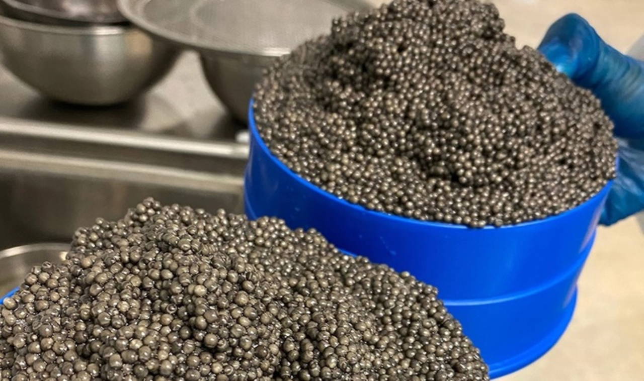 ABD'de 'silahlar dışında' yasaklanan on tuhaf şey