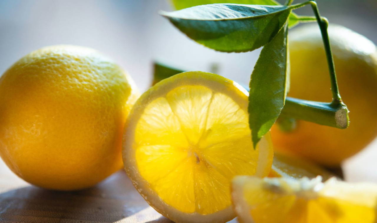 Dukan detoks çayı nasıl yapılır, tarifi nedir, nasıl kullanılır?