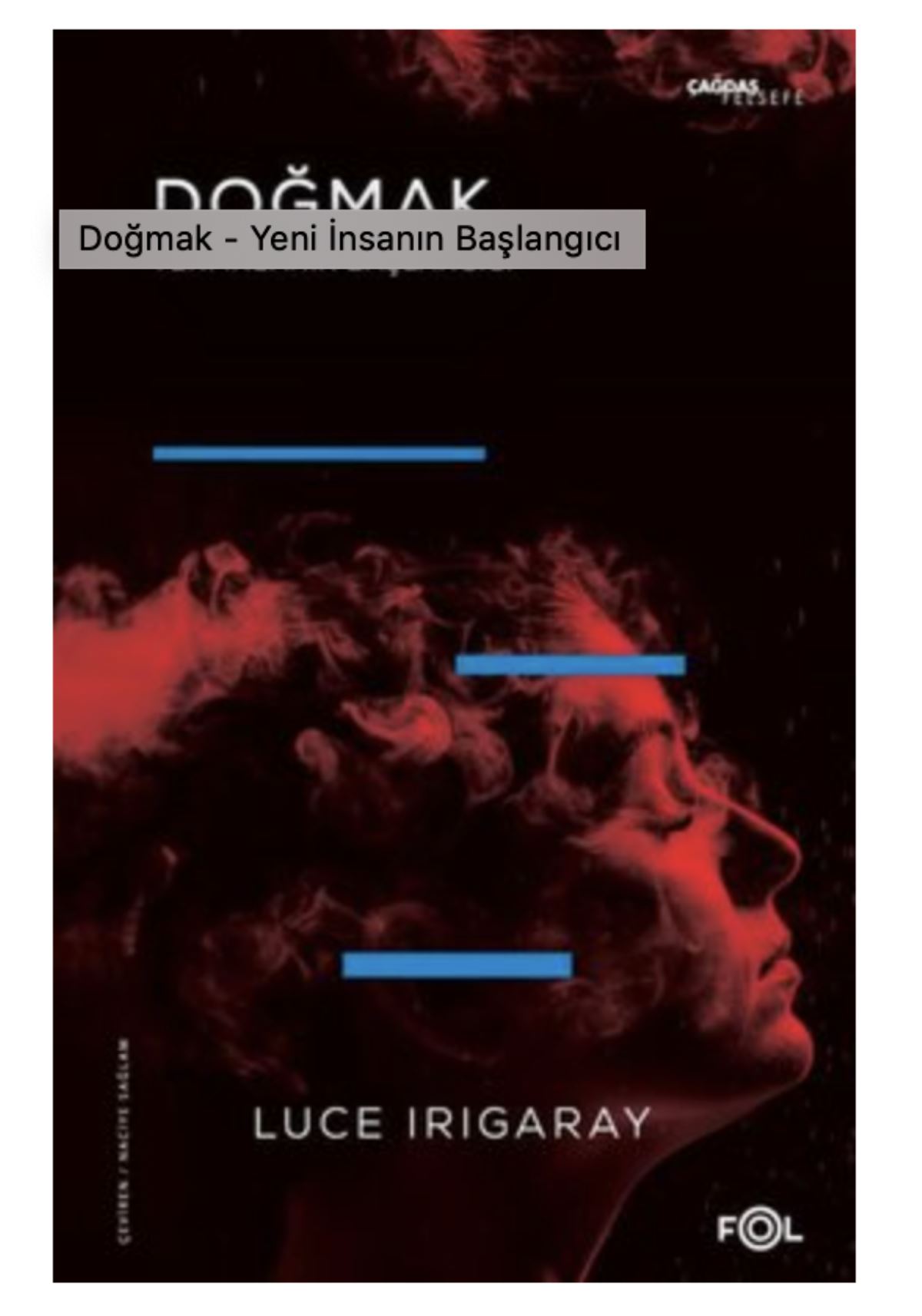 Feminist filozof Irigaray'ın muhakkak okumanız gereken kitapları