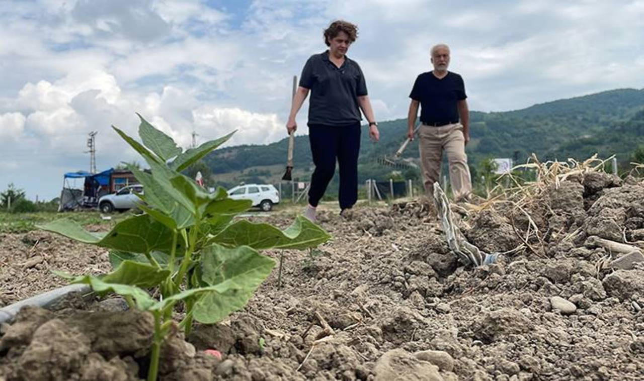 Tarıma kazandırdığı atıl arazide organik ürünler yetiştiriyor