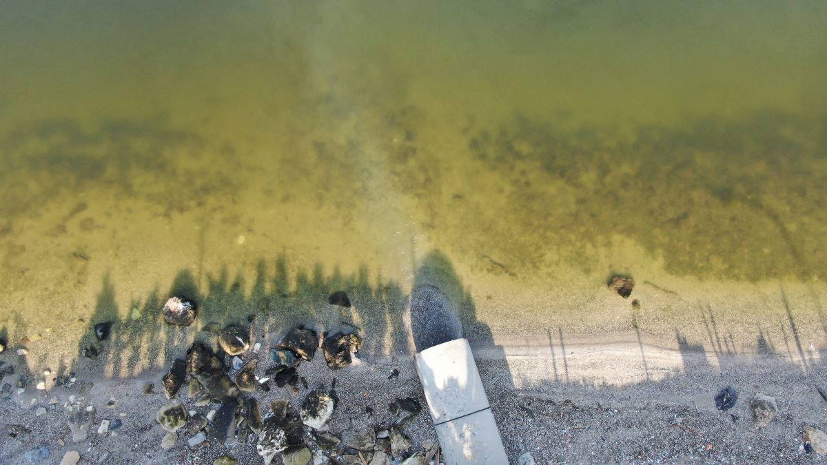 Küçükçekmece gölünün MR'ı çekildi: Kaybediyoruz!