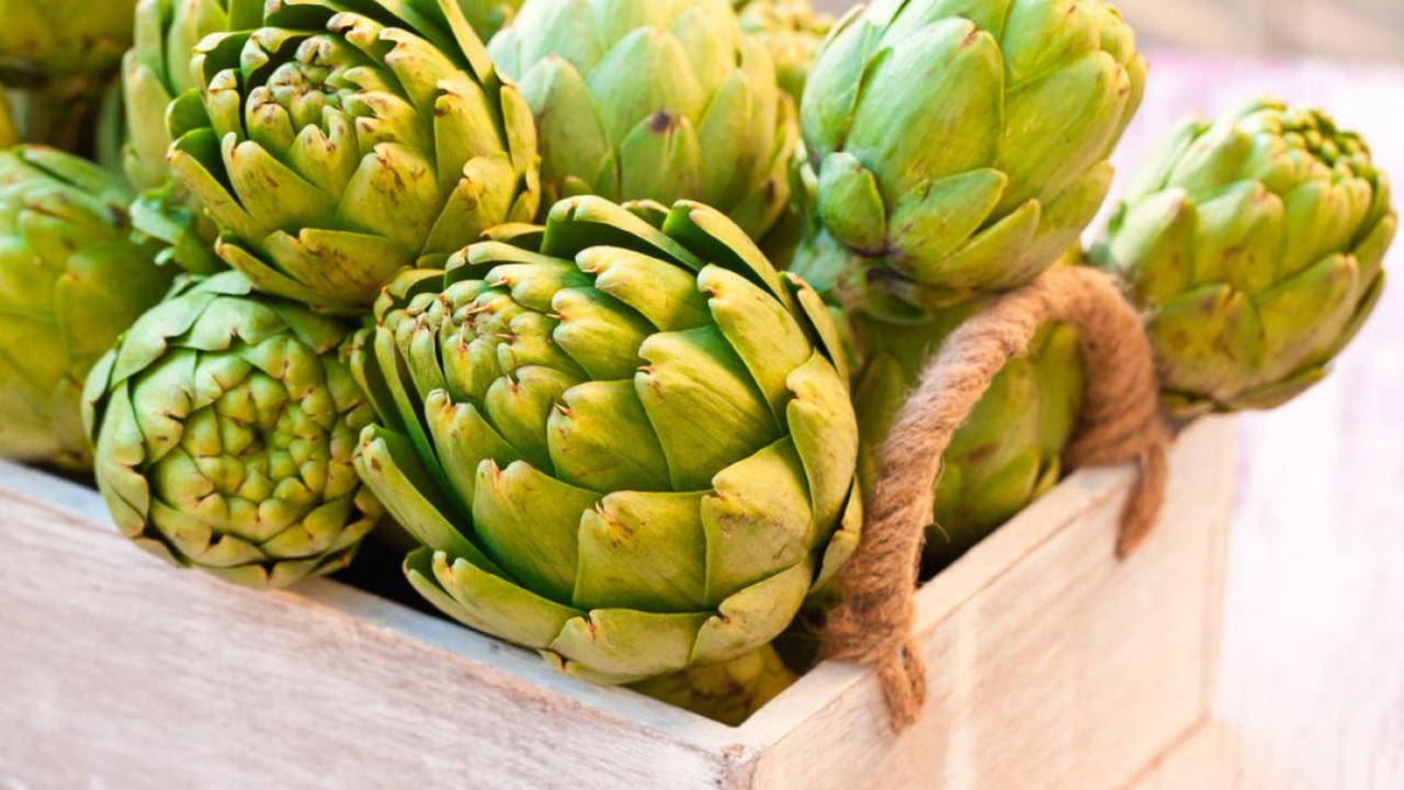 Vücudumuzu temizleyen besinler nelerdir?