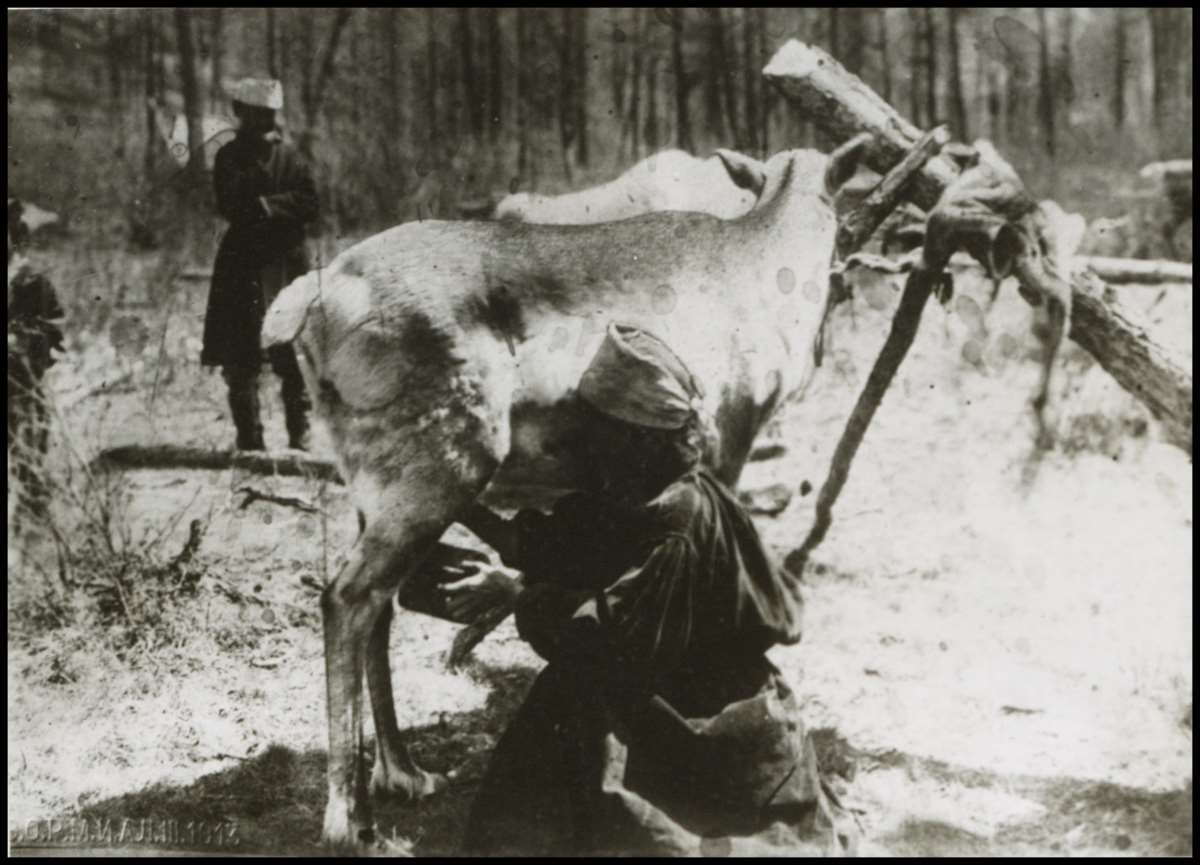 Devlet Arşivleri'nde ortaya çıktı: İşte Türk boylarının tarihi fotoğrafları