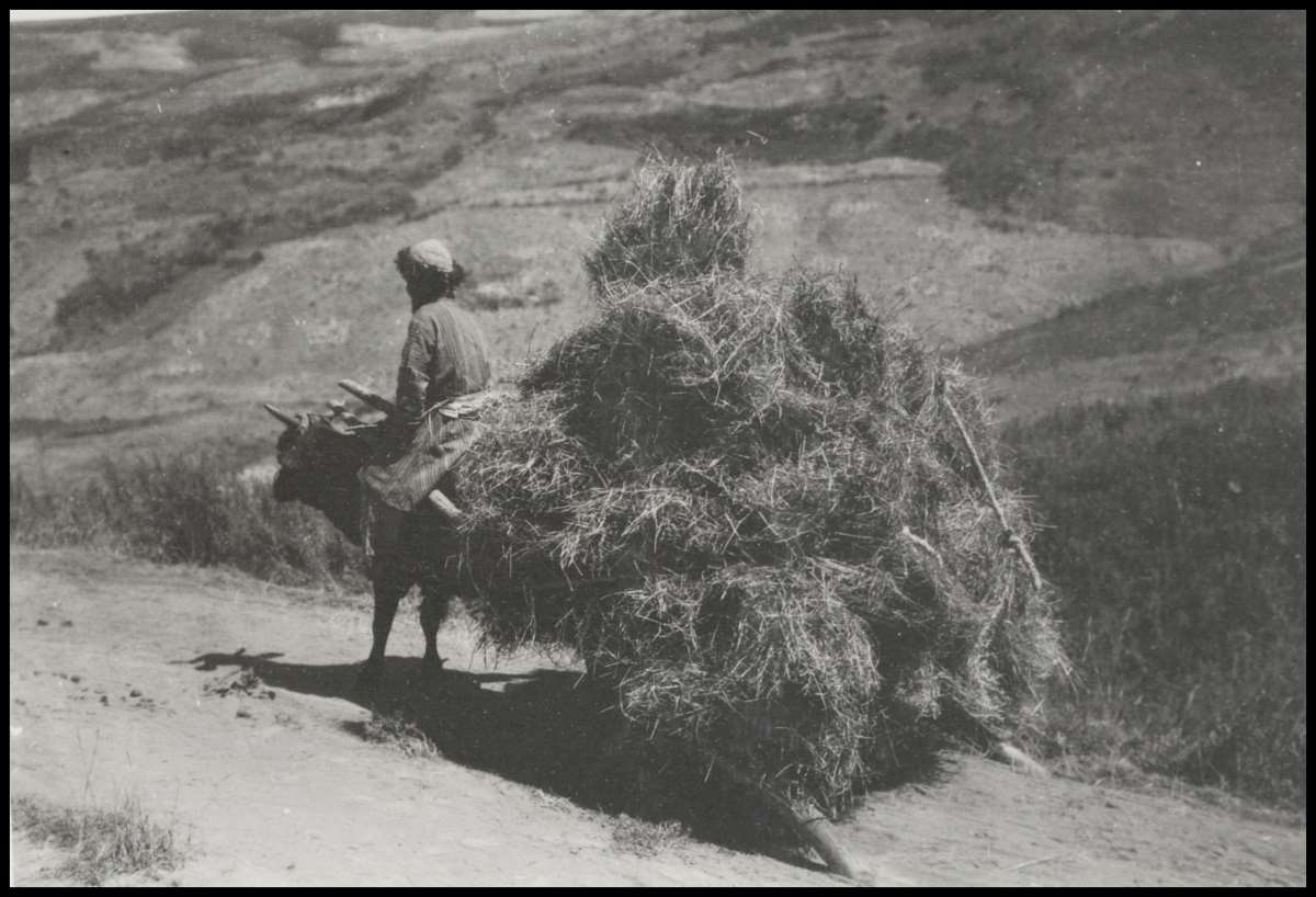Devlet Arşivleri'nde ortaya çıktı: İşte Türk boylarının tarihi fotoğrafları
