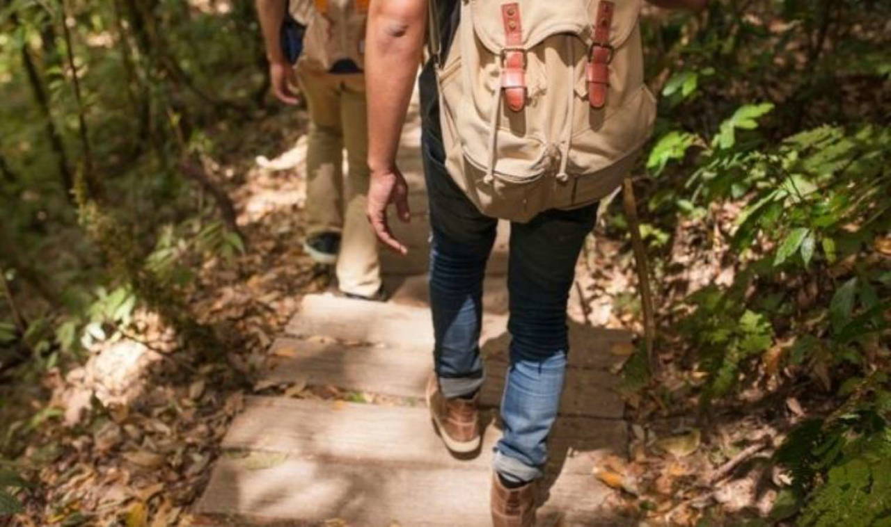 Kaygı ve stresi azaltmanın en doğal yolu: Zihninizi sakinleştirmeye yardımcı olan 7 etkili aktivite