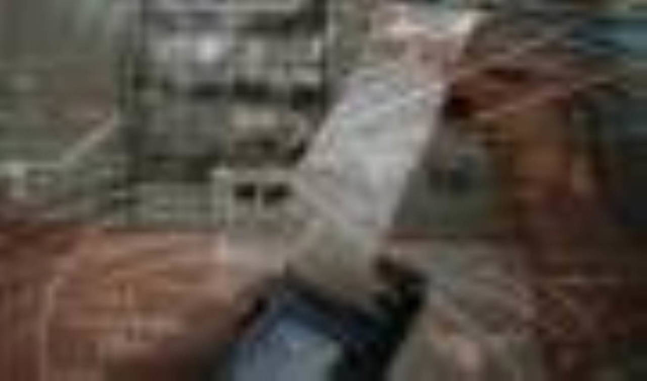 Emekliler için yeni düzenleme planı: 7 alanda 'destek'