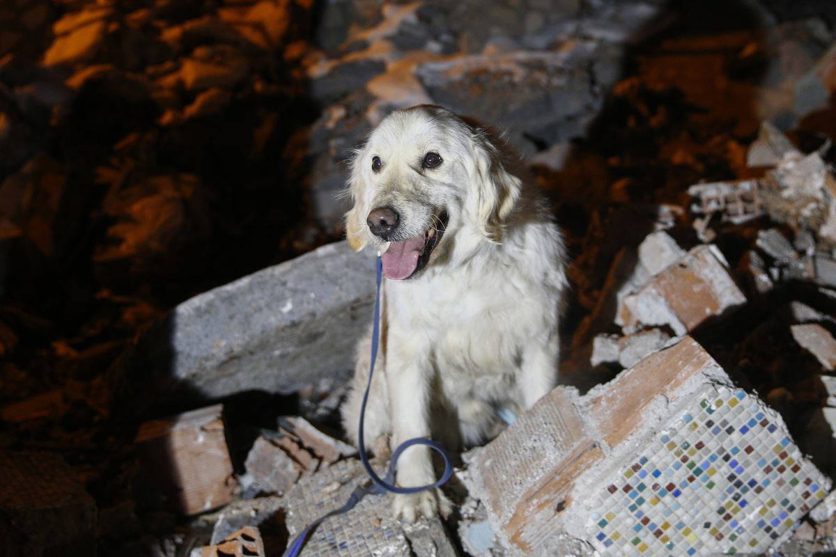 Arama kurtarma ekipleri dört gözle 