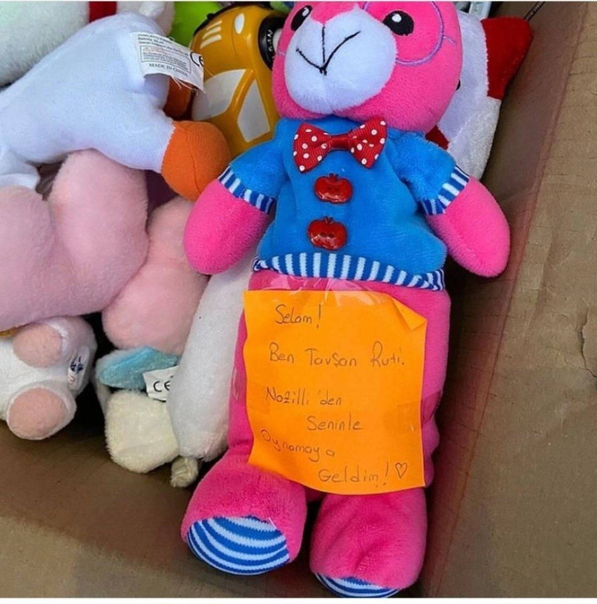 Afet bölgesine gönderilen yardım kolilerinden depremzedeler için yazılmış duygulandıran notlar