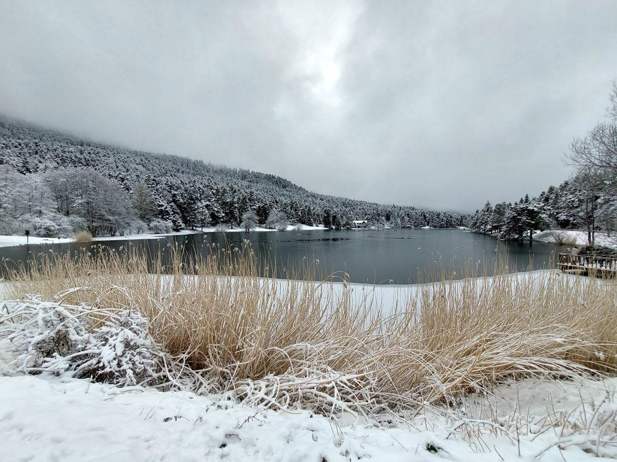 Bolu Gölcük Tabiat Parkı kar yağışına teslim oldu