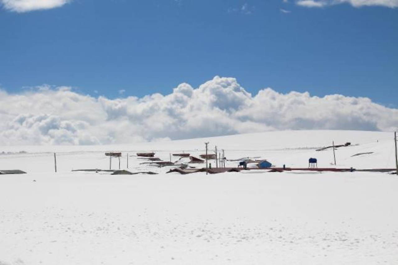 Ardahan'da evler kar altında kaldı