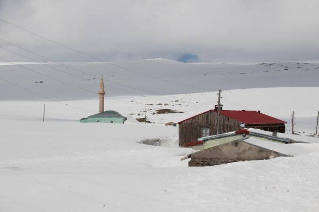 Ardahan'da evler kar altında kaldı