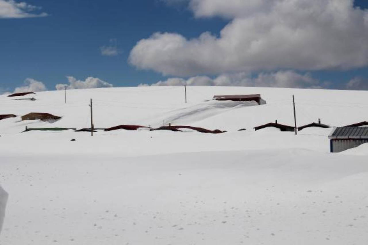 Ardahan'da evler kar altında kaldı