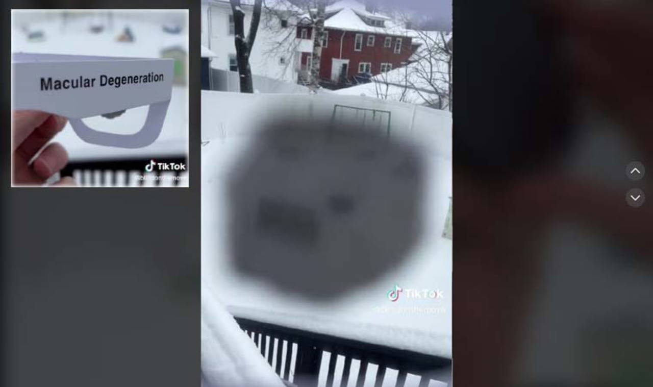 Görme engelliler dünyayı nasıl görür?